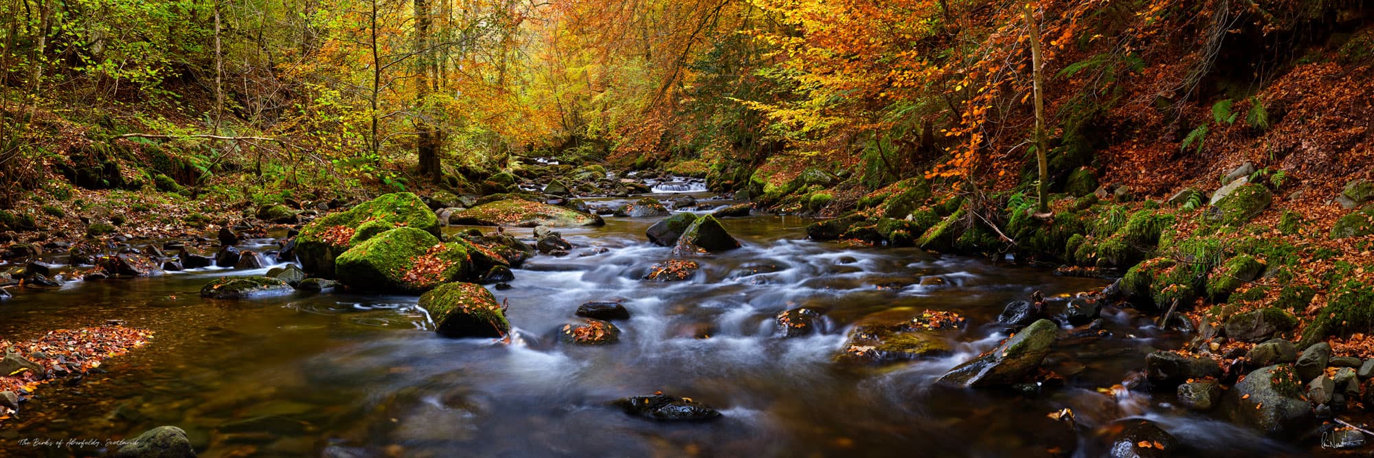 Birks of Aberfeldy
