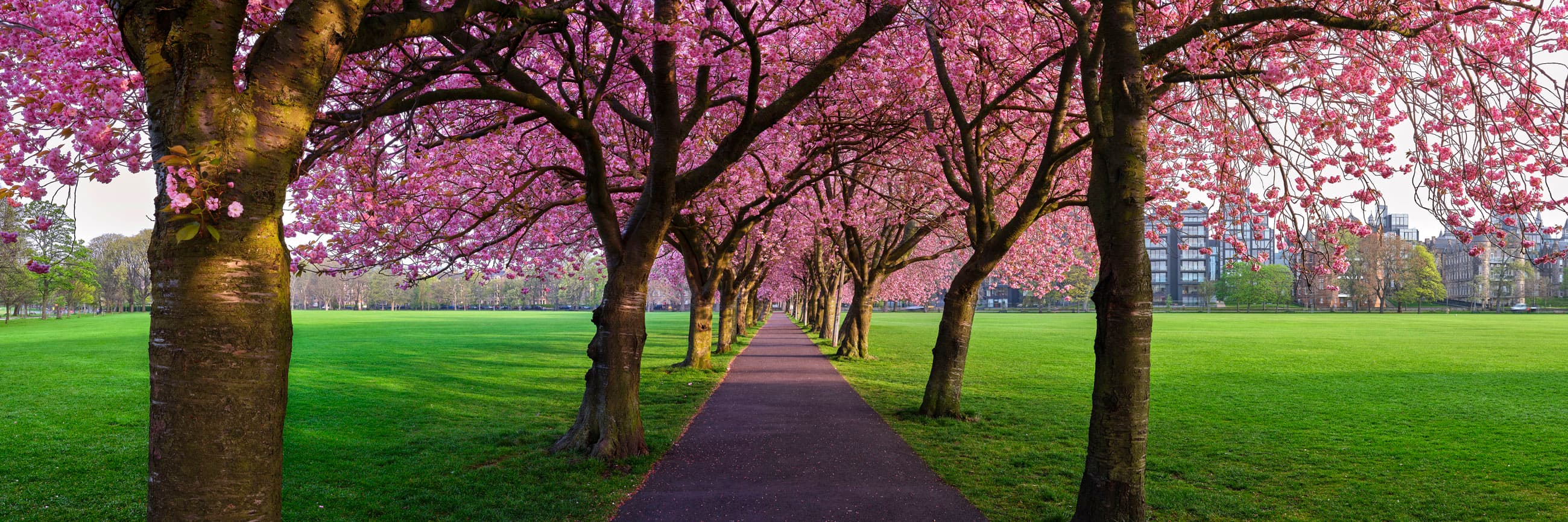 Coronation Walk